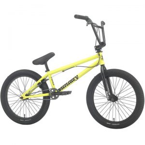 Sunday Primer Park 20" (2021)